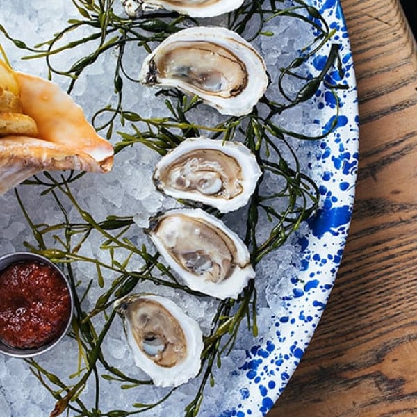 31 Spots for Oysters in Charleston